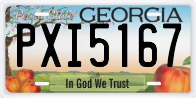 GA license plate PXI5167