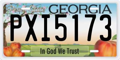GA license plate PXI5173