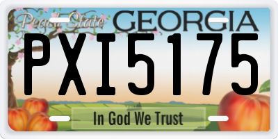 GA license plate PXI5175