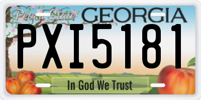 GA license plate PXI5181