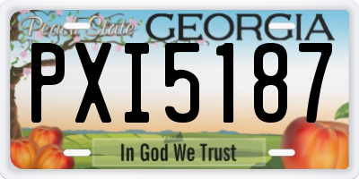 GA license plate PXI5187