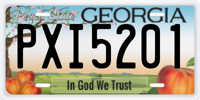 GA license plate PXI5201