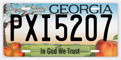 GA license plate PXI5207