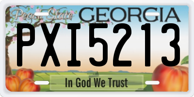 GA license plate PXI5213