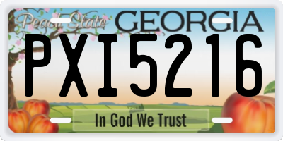 GA license plate PXI5216