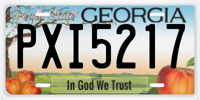 GA license plate PXI5217