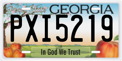GA license plate PXI5219