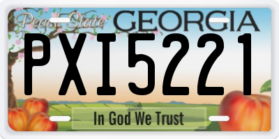 GA license plate PXI5221