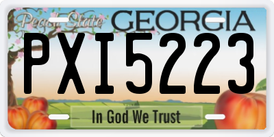 GA license plate PXI5223