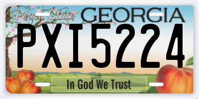 GA license plate PXI5224