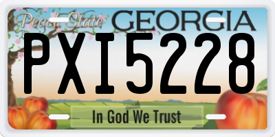 GA license plate PXI5228
