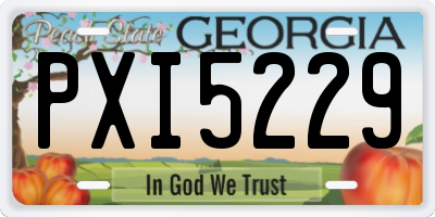 GA license plate PXI5229
