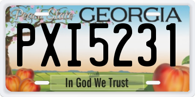 GA license plate PXI5231