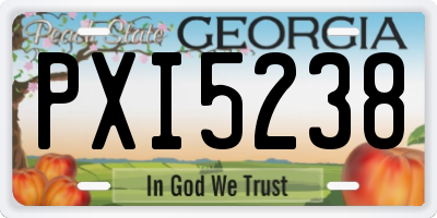 GA license plate PXI5238