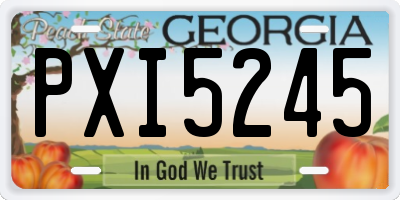 GA license plate PXI5245