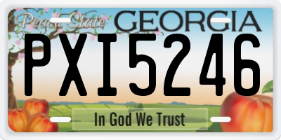 GA license plate PXI5246