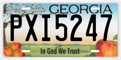 GA license plate PXI5247