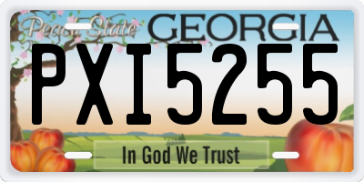 GA license plate PXI5255