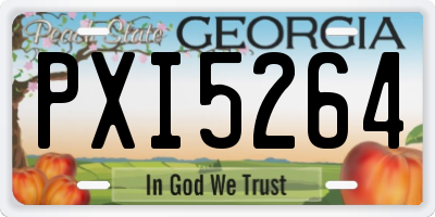 GA license plate PXI5264