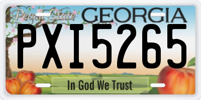GA license plate PXI5265