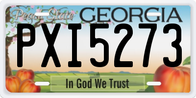 GA license plate PXI5273