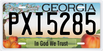 GA license plate PXI5285