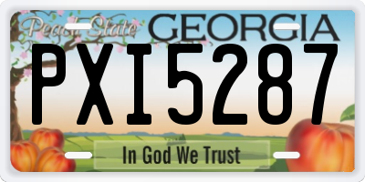 GA license plate PXI5287