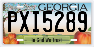 GA license plate PXI5289