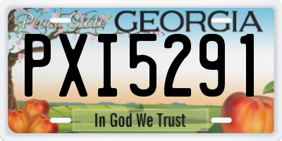GA license plate PXI5291