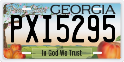 GA license plate PXI5295