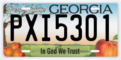 GA license plate PXI5301
