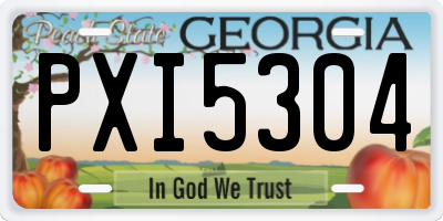 GA license plate PXI5304