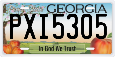 GA license plate PXI5305
