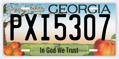 GA license plate PXI5307