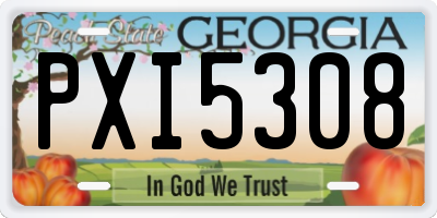 GA license plate PXI5308