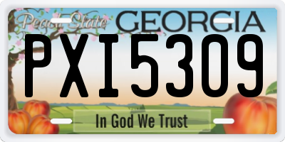 GA license plate PXI5309