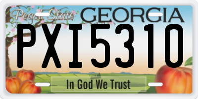 GA license plate PXI5310