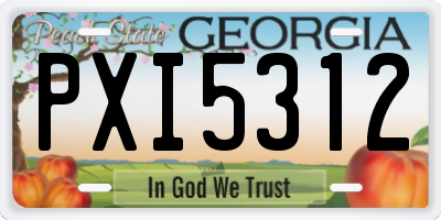 GA license plate PXI5312
