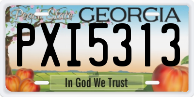 GA license plate PXI5313