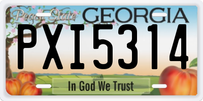 GA license plate PXI5314