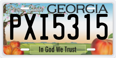 GA license plate PXI5315