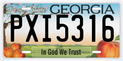 GA license plate PXI5316