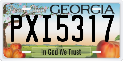 GA license plate PXI5317