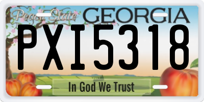 GA license plate PXI5318