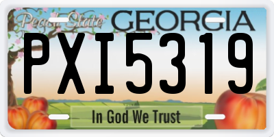 GA license plate PXI5319