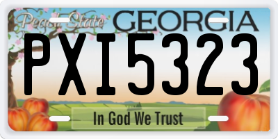 GA license plate PXI5323