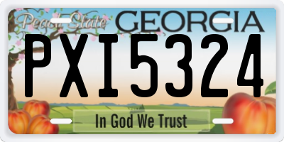 GA license plate PXI5324