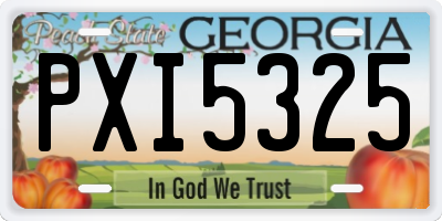 GA license plate PXI5325