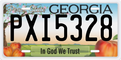 GA license plate PXI5328