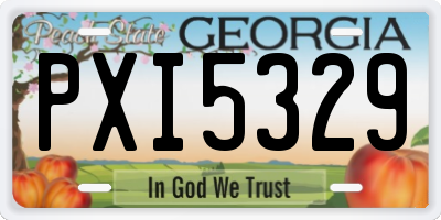 GA license plate PXI5329
